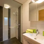 Фермерський будинок Lederer *